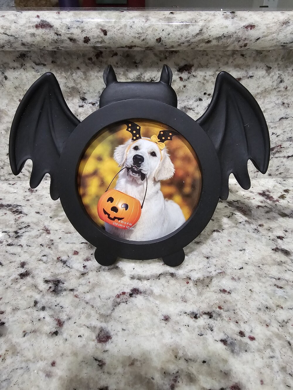 Bat Picture Frame Halloween Fall Small Never Used